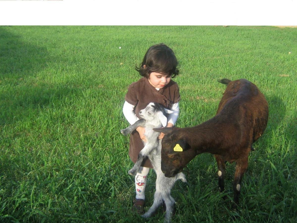 Casa Rural La Casa De Los Pollos Turrubuelo Kültér fotó